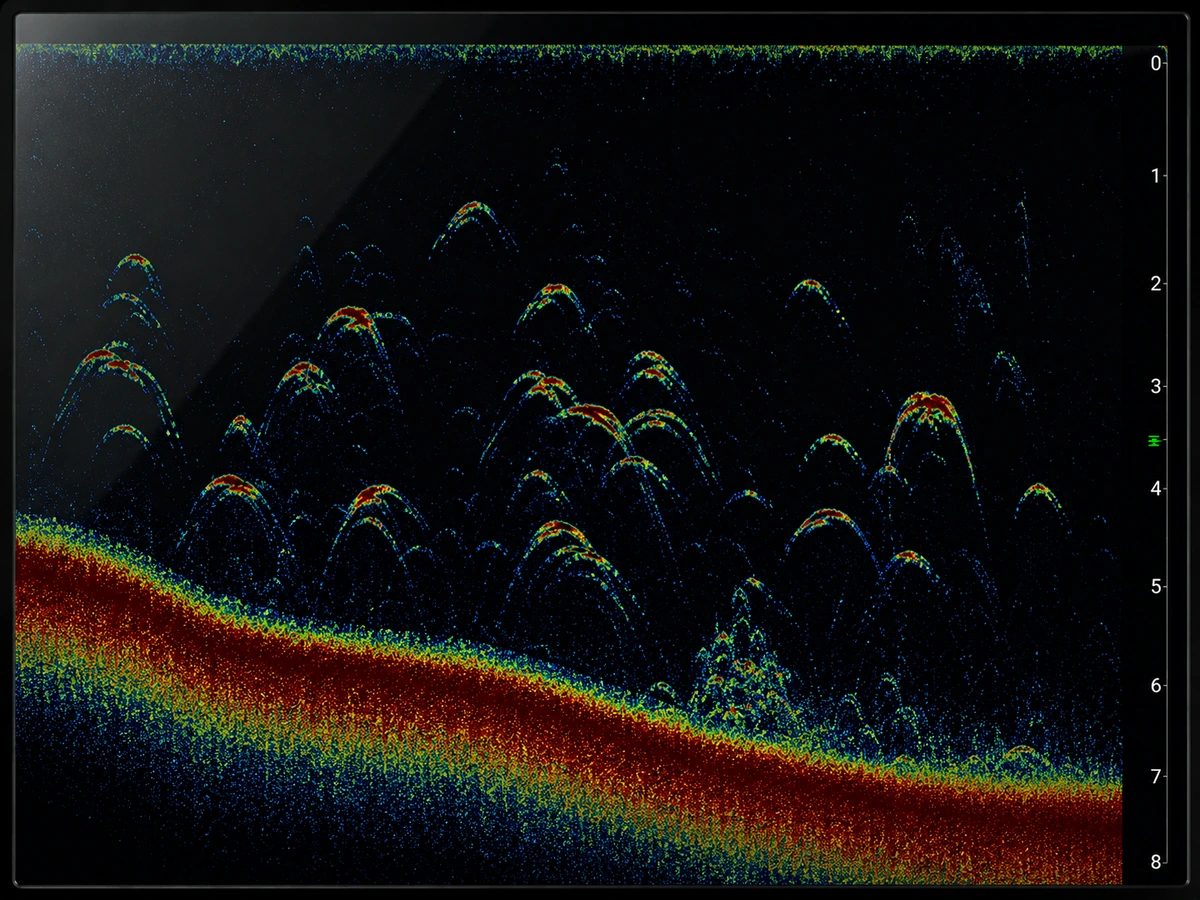 GreenyFox CHIRP sonar display detail